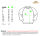 Raglan Sweatshirt